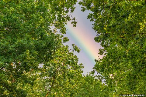 Gemeinde Bad_Füssing Landkreis Passau Kurpark Regenbogen (Dirschl Johann) Deutschland PA